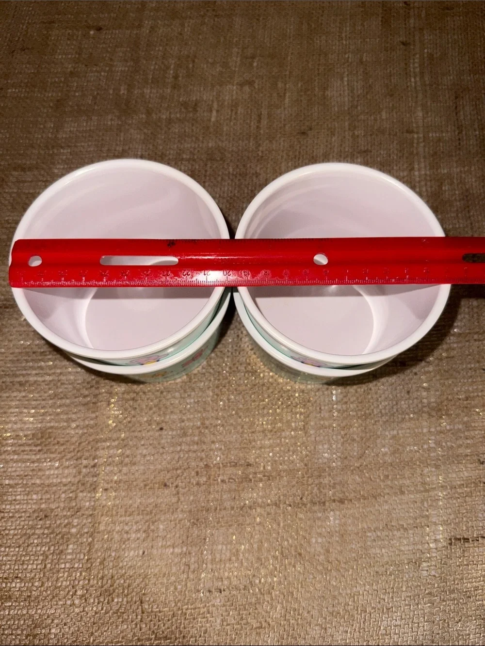 Set of 4 Mint Green Plastic Ice Cream Cups